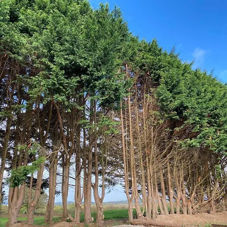 An Teach Tykillen Cosy *