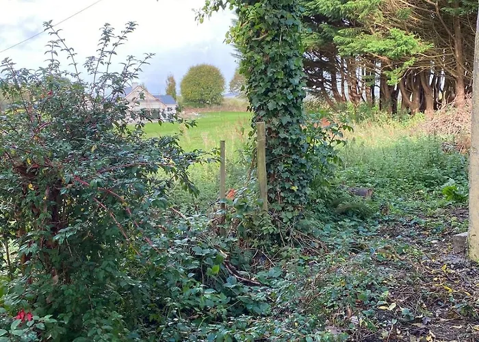 An Teach Tykillen Cosy *