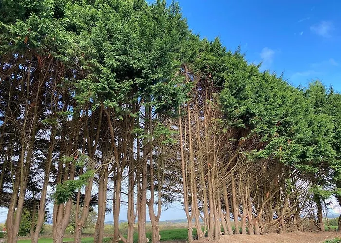 An Teach Tykillen Cosy *